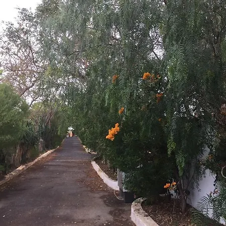 Camino Toledo Granja Avestruces