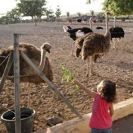 Βίλα Camino Toledo Granja Avestruces *