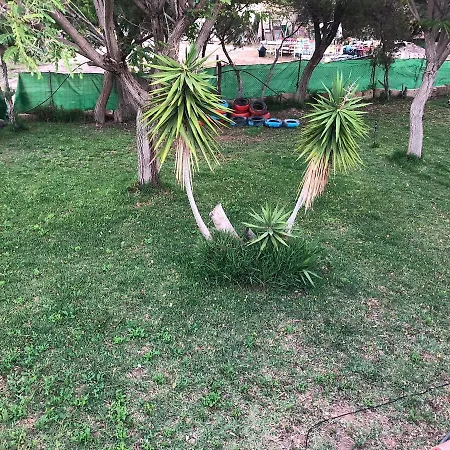 Camino Toledo Granja Avestruces * Las Zocas