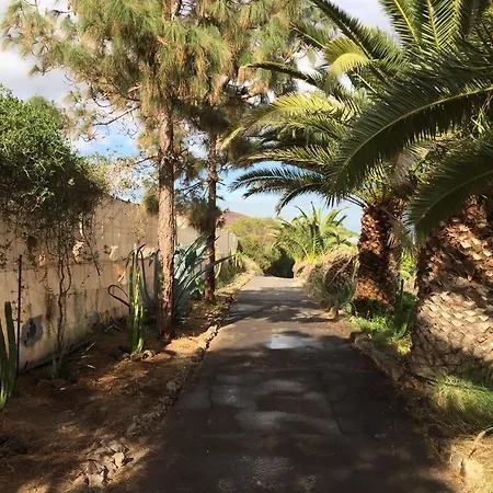 Camino Toledo Granja Avestruces Las Zocas